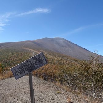 近くに小浅間山西峰があったので寄りました。
スコリアの急登で登りも下りも滑って大変でした💦