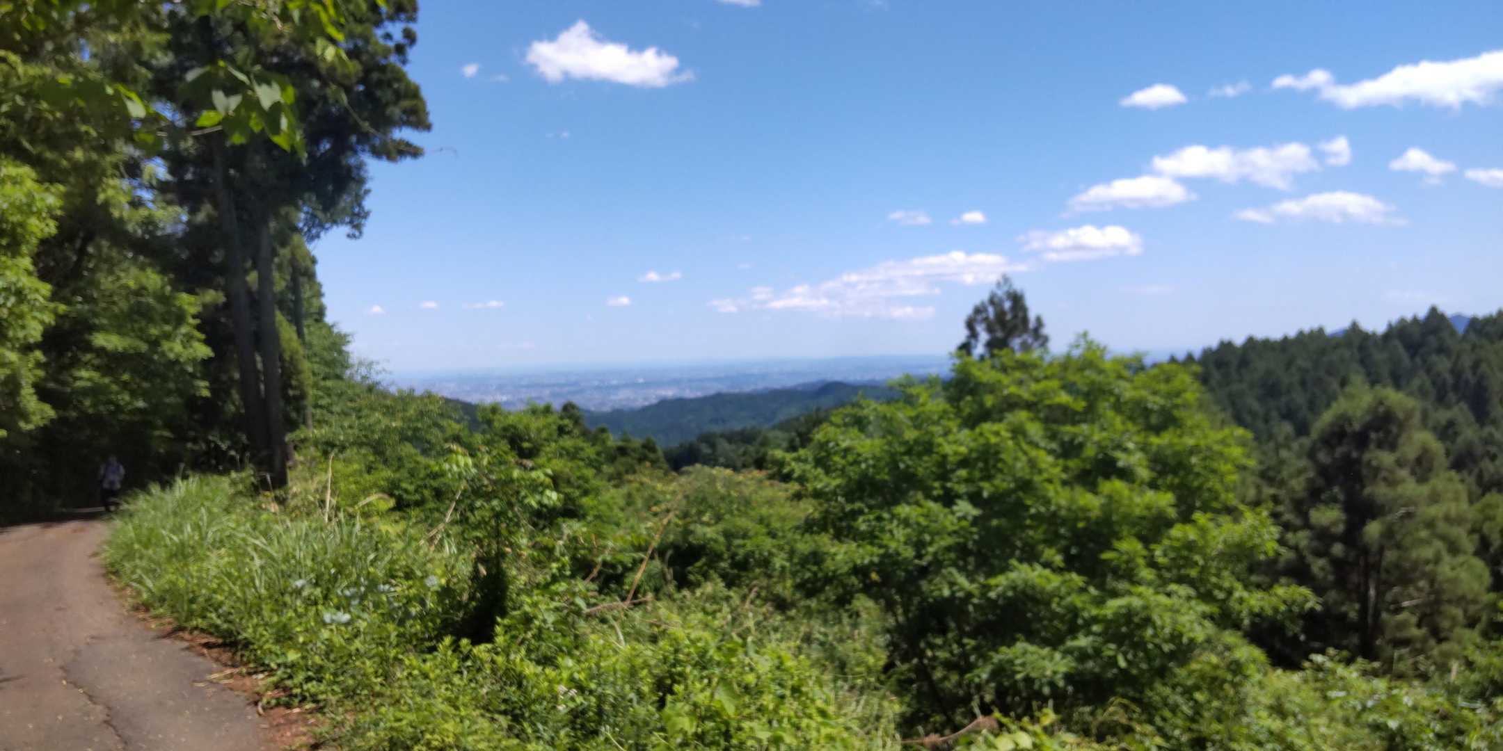 林道と合流してほっとする
