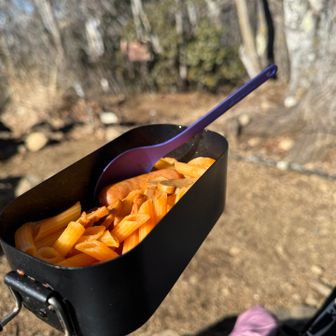 トマトペンネ🍅