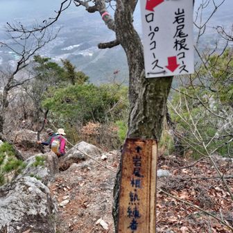岩尾根コースへ