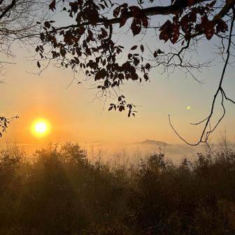 なかなか、きれい。