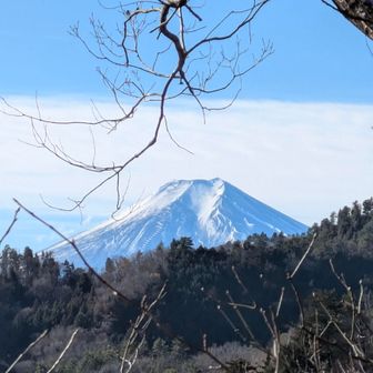 見返り富士（4）