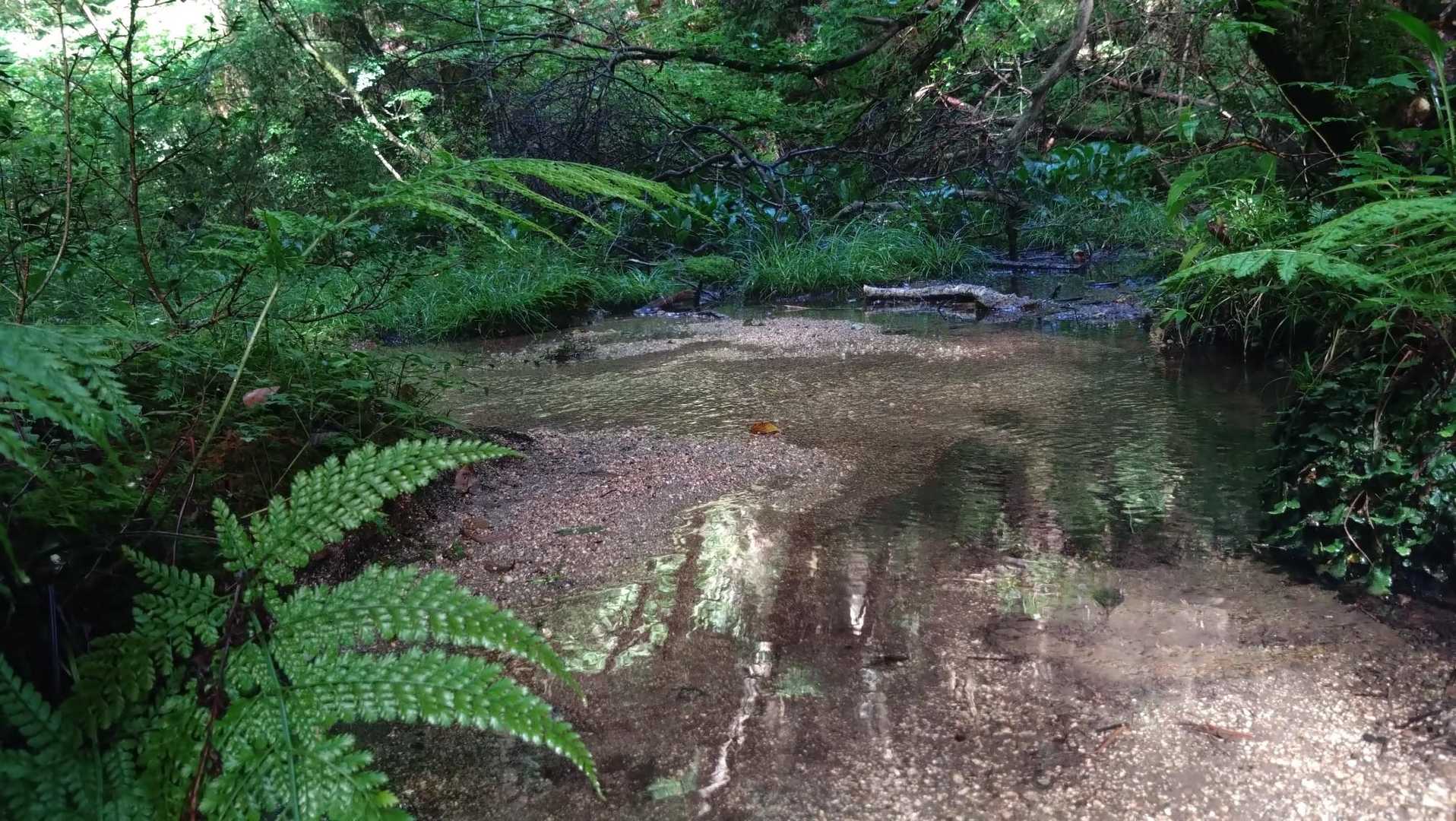 こな水も蛤水道に流れ注ぐ
