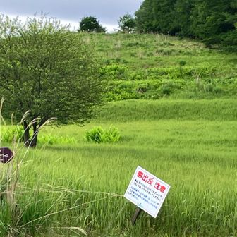 ここにきて「熊出没注意」の看板。
熊、出るのかー。
ここから車山肩に戻る登りがしんどかった。