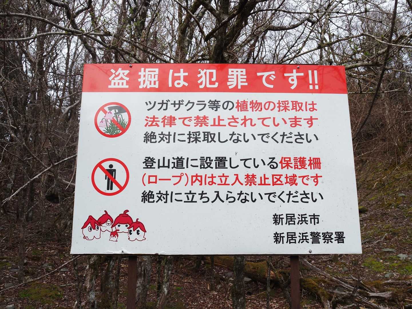 絶対取るなよ😤