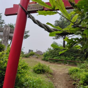 南岳から階上岳に戻ってきた💦
鳥居越しの階上岳山頂⛰️

この後、階上岳山頂からの下山途中、悲劇が…😨💦