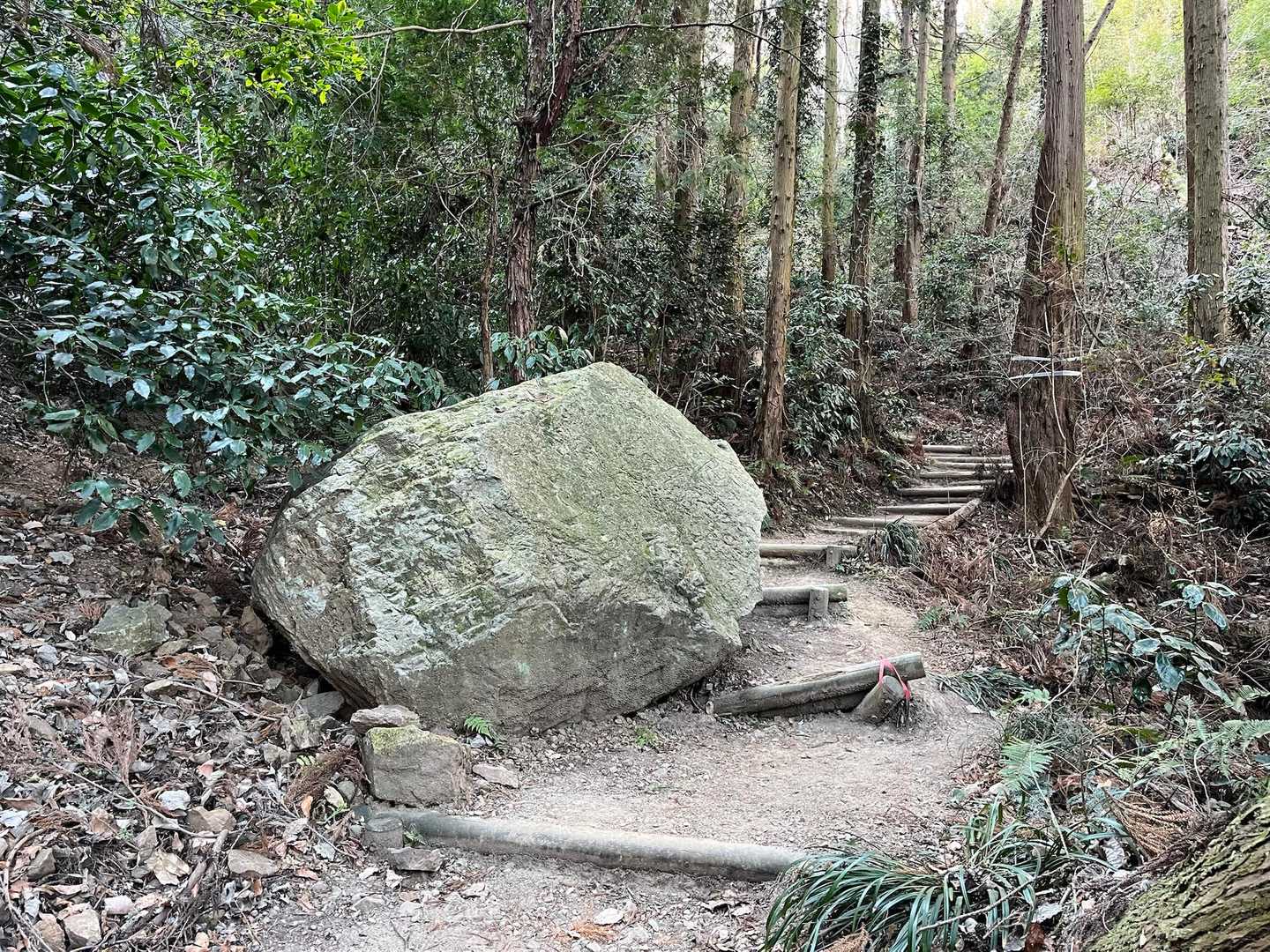 いつ頃の落石か分からないけど、こんな大きな石🪨
落ちてきたら怖いよね😱