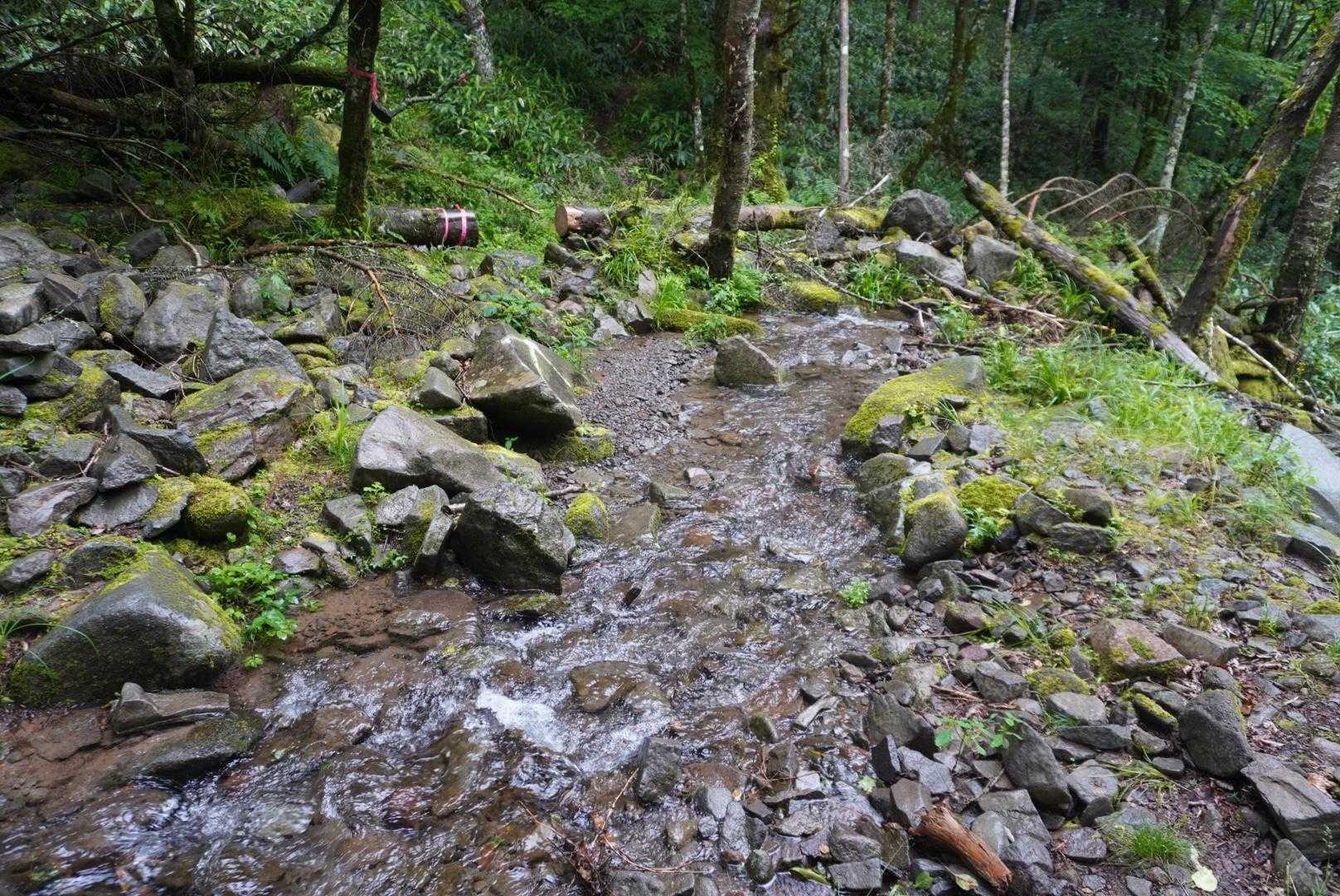 やっぱり川のようだ