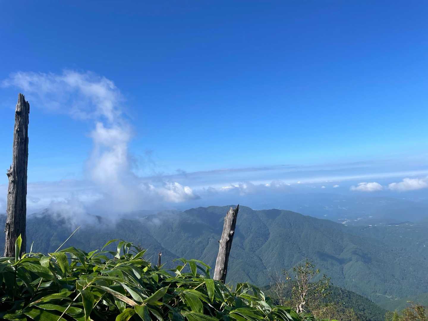 景色が見えるとホッとする