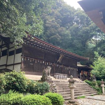 宇治上神社にもお参りにあがります
