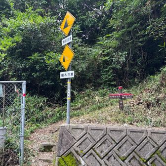 ここで道路にでちゃった