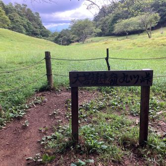 丸川峠に到着。ひとけはありません。