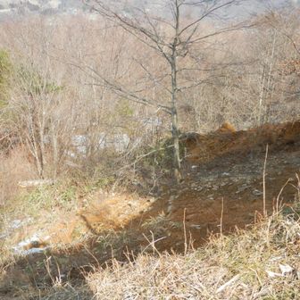 初めての時　この崖を登ってしまった😰
