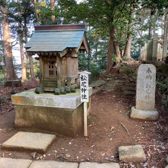 松尾神社、以前も来たけど忘れてる？😥