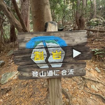 かわいい案内板