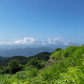 見晴らしが良くなり、暑いです！