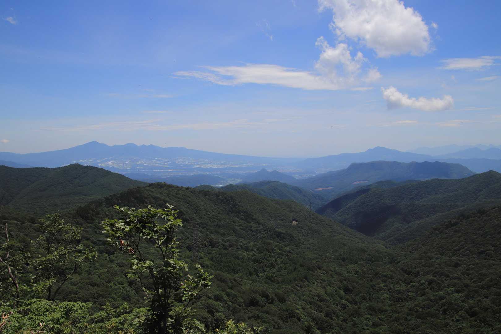 尼ヶ禿山 往復コースの写真