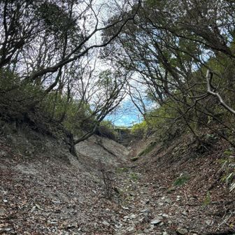 矢筈峠直下です