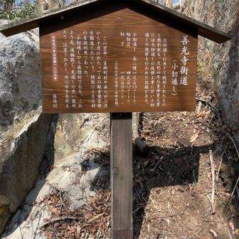 善光寺街道
（小切通し）
大切通しに準じて開削されたものと思われる。文化六年の青柳家文書には大切通しの改修工事に伴い小切通しの改修も行われた記録がある。
小切通し 長二間一尺（約3.9メートル）
幅切広　　四尺（約1.2メートル）
切下　　　一尺（約30センチ）
（文化六年小切通し改修記録）

この翌年、青柳町村や旅人が二月から十月にわたって石の観音像百体を勧進したという。開削による石材の有効利用であった。
小切通しから麻績村である。これより先、道幅狭く、見通しの悪い箇所あり、注意されたし。旅の安全を祈る。
　　　※文化六年は西暦1809年
　　　　　　　　　　　　　　麻績村