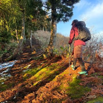 次いで大高根山へ