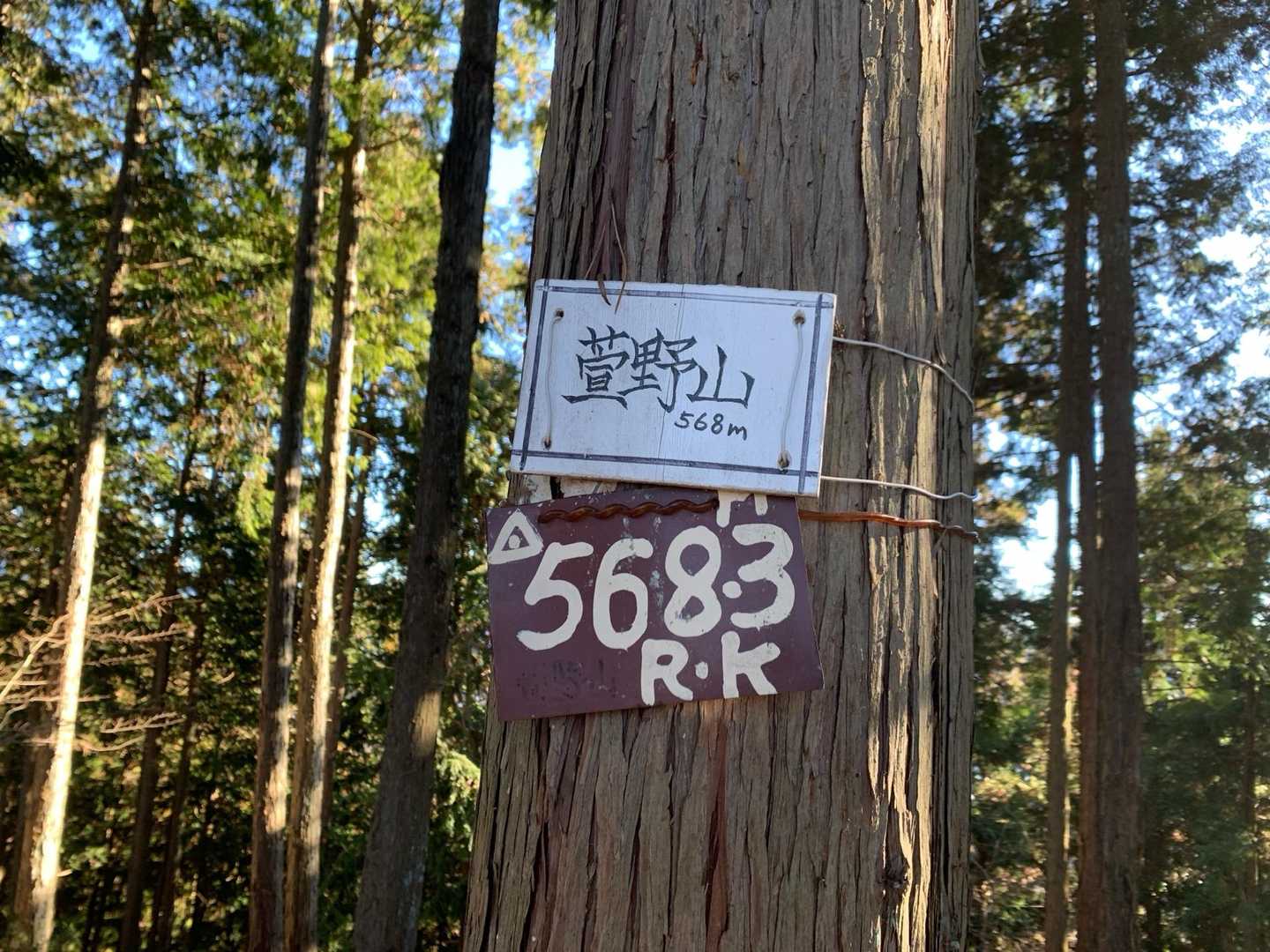 萱野山(かやのやま)
その先の大形山まで行こうか迷いましたが、どのくらいかかるか分からないのでここまで。