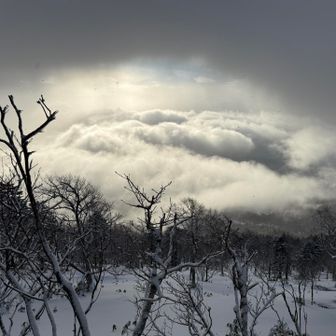 支笏湖は湖面の上にモコモコ雲が湧き上がっていて、
こんな光景は初めて見ました☁️