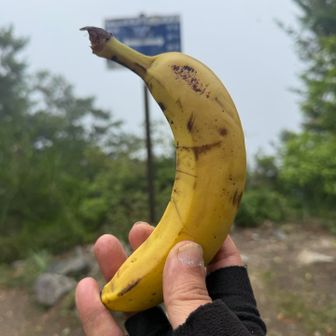 ここではじめて腰掛けての休憩。
バナナでエネチャージ🍌