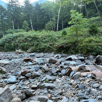 また渡渉