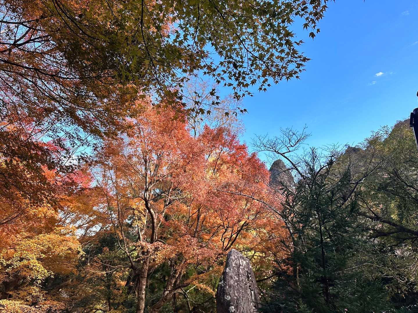 文珠山 周回コースの写真
