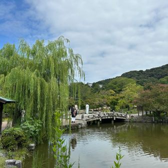 円山公園