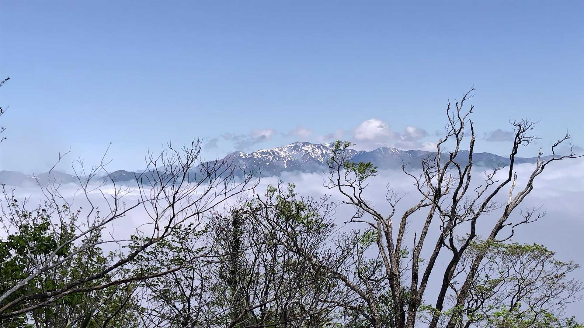 別山、白山辺りかな？