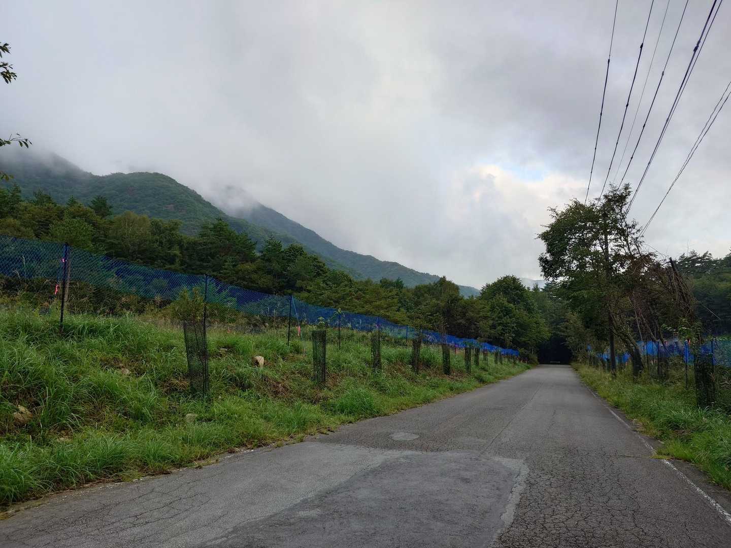 道路を下って入口バス停側の登山口へ…