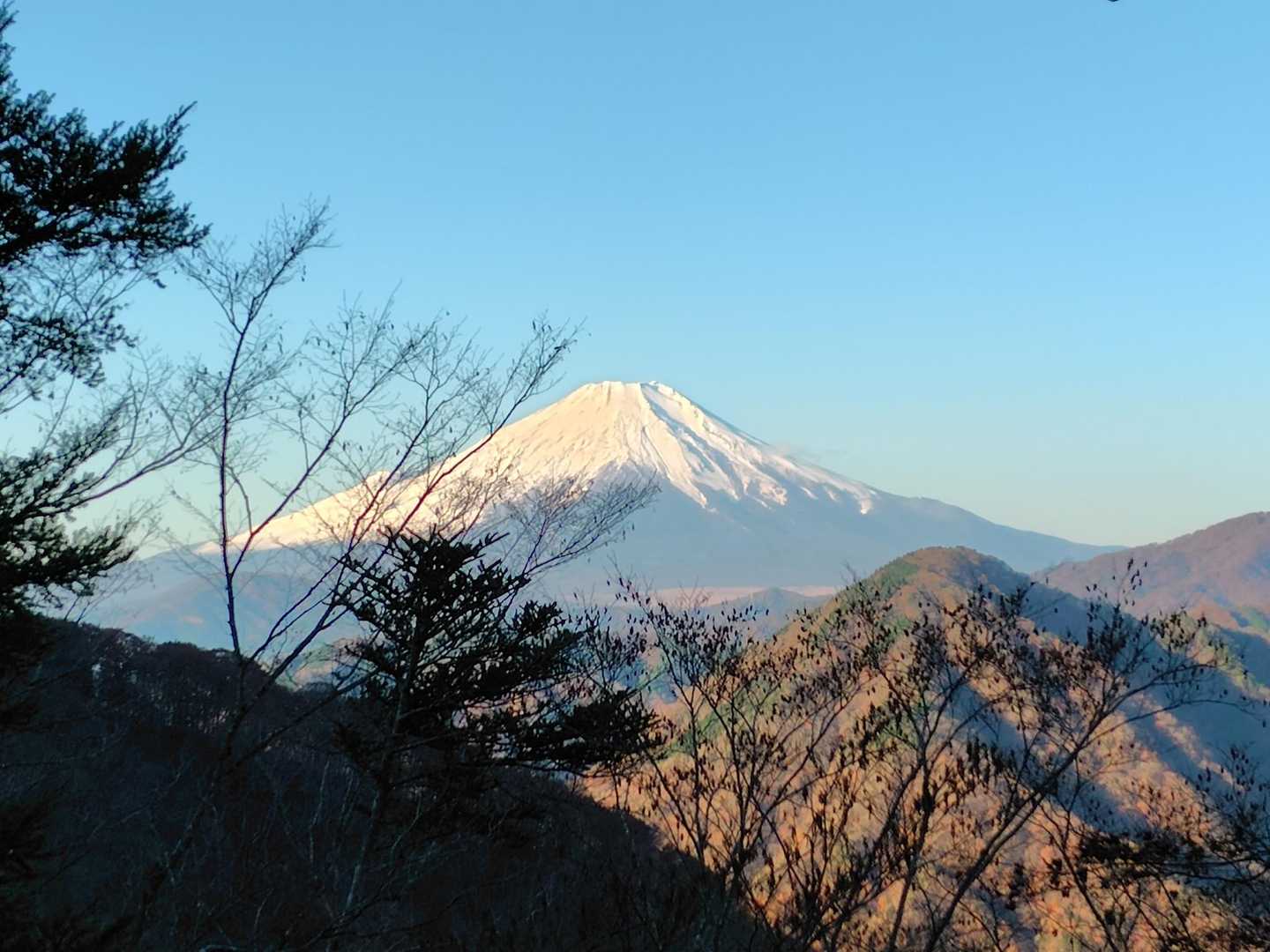 富士山が見えてきた