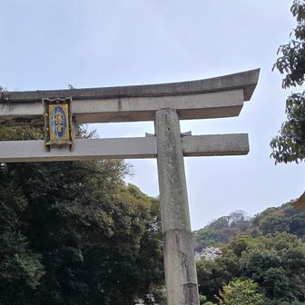 駅から歩いてまずはこちらへ
石清水八幡宮一ノ鳥居
神額の｢八幡宮｣の八の字は神様の使いの双鳩