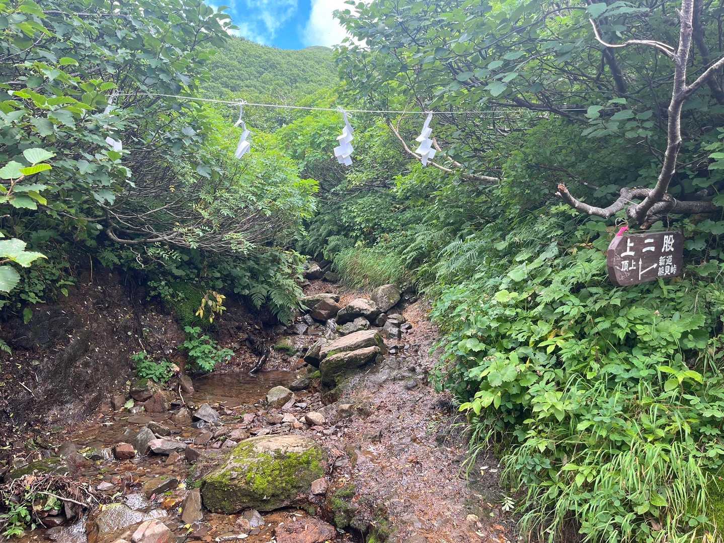 旧道🤝🏻新道 合流地点