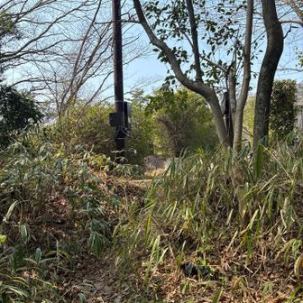 出口です。この道は知らなかったですね。