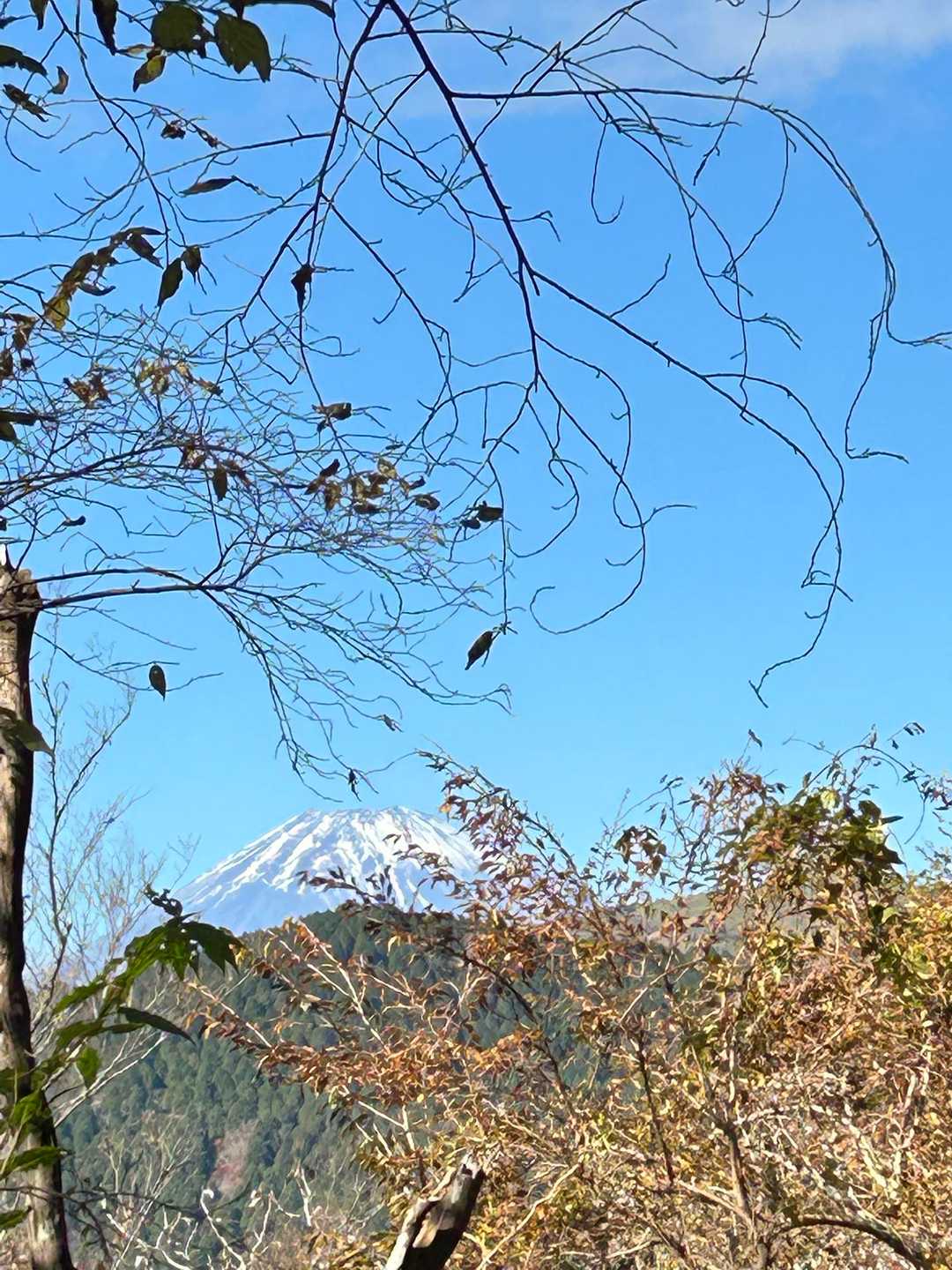 快晴の富士山
今日は宜しく頼みます！🙏