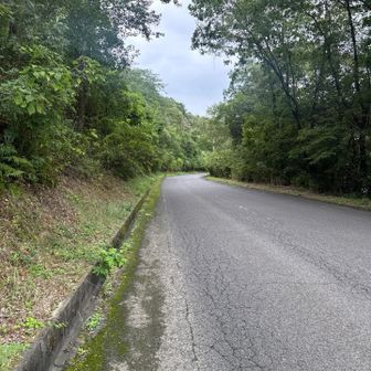 舗装路を歩き。天気は良くはないですけど、曇ってる程度。