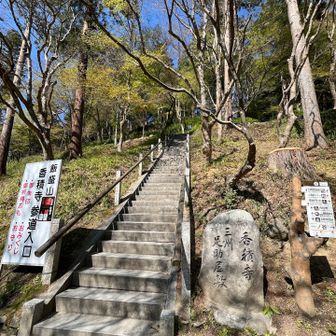さーーーて！上り階段が現れた！
もう、既に 身体ぐったりしてるけどね！
