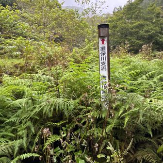 無事下山
おつかれ山！