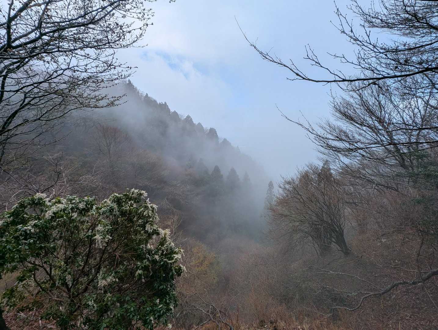 登り始めはガスガスでしたが強風で雲の切れ間が見え隠れ😶‍🌫️