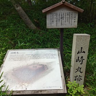 そういえば丸って何だろうと気になって調べてみると ”「丸」という用語は、江戸時代になってから曲輪と同義の言葉として使われるようになりました” だそうです。