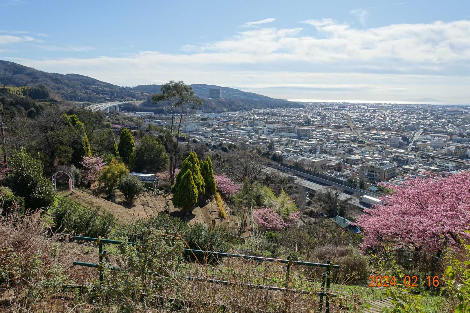 松田駅-松田山 往復コースの写真