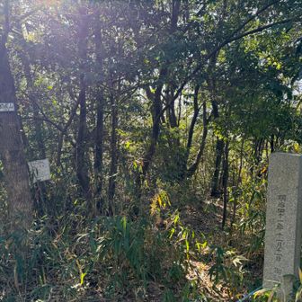 耳成山登頂⛰️
展望はないです