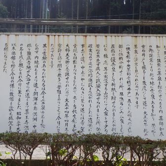 薬王寺温泉能書き