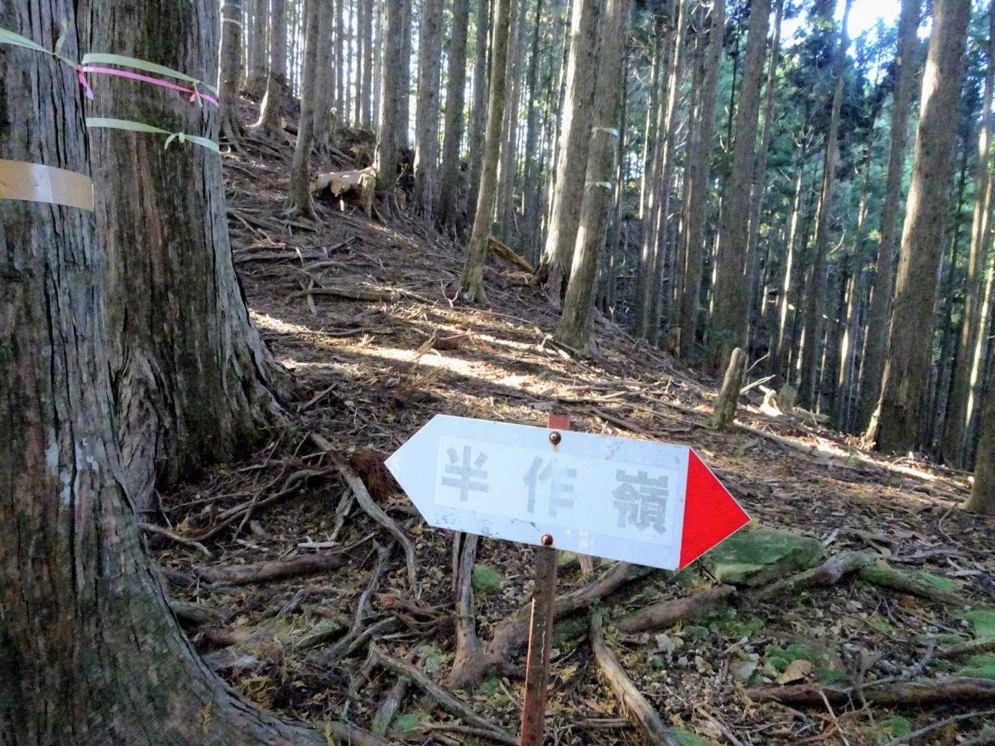 ここで間違って逆方向へ💦
迷いやすいルートです🤔
こんな時はYAMAPの地図が有り難い👏