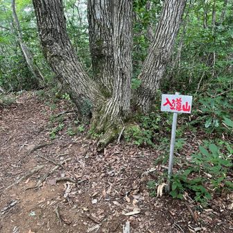 最後のピークの入道山。
感慨深いです。
