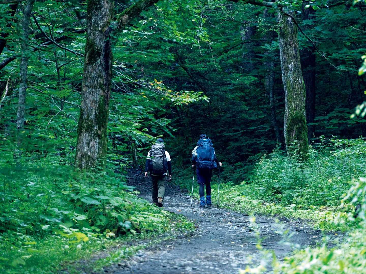 景色とスイーツで目も舌も嬉しい山岳景勝地、長野・上高地コースの写真