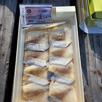 これが昼食に食べたくて、わざわざ大船でいったん下車して、構内で購入し、次の電車で北鎌倉に行きました