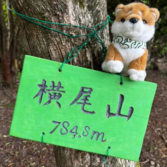 横尾山に着きました🎶